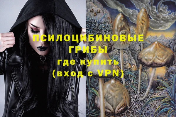 apvp Нефтекумск
